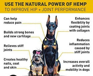 Customized wholesale organic natural pets Hemp Extract CBD Oil for dogs