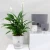 Import Decor Table Indoor Plastic Garden Self Watering Plant Planter Flower Pots from China
