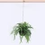 Import Decorative Artificial Plants Decor Bonsai in Plastic Pot Bonsai for Home Decor Outdoor from China