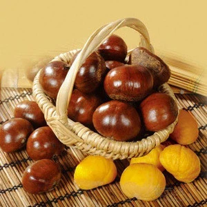 Delicious Bulk raw chestnuts,dried chestnuts