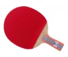 DHS R6007 Table Tennis Racket ( SKYLINE2 rubber &amp; CLOUDFOG rubber)