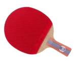 DHS R6007 Table Tennis Racket ( SKYLINE2 rubber & CLOUDFOG rubber)