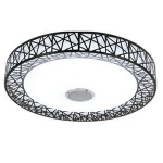 Dimmable LED ceiling lights modern ceiling lamp