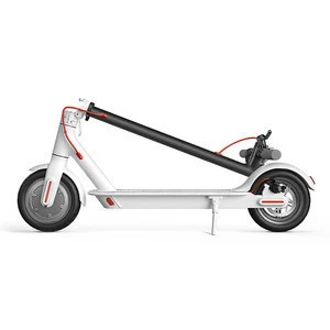 Double braking system sccoter portable folding design 2 Wheel Electric Scooter 250W/500W