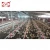 drinking system for chicken cage quail battery cages with drinking system