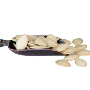 Durable using low price giant pumpkin seeds  without shell for sale