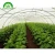 Import economical tunnel greenhouse shading net film greenhouse from China
