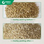 Equipment manufacturer bean peeling machine