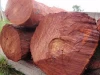 European Sandalwood Logs and timber for sale