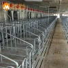 European type piggery equipment gestation crate for pig farm Philippines