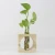 Import Factory Crystal Glass Test Tube Vase in Wooden Stand Flower Pots for Hydroponic Indoor plants that grow in water from China