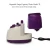 Import Factory directly supply best seller purple vertical clothes garment steamer with water tank from China