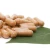 Import Factory OEM Herbal Supplements Astragalus Root Extract Powder Capsule Astragalus Capsules For Immune Support from China