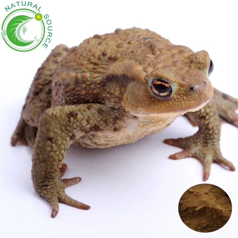 Factory Supply High Quality Toad Extract Animal Toad Powder Ratio 10:1 For Medicine