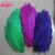 Import Fashion Colorful Party Dyed Pattern and Ostrich Feather Material Feathers For Sale Cheap from China