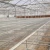 Import fixed benches used in agricultural greenhouse from China