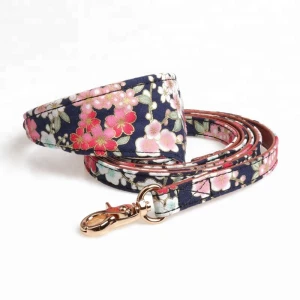 Free Sample Adjustable Dog Collar Fashion Dog Collar and Leash