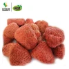 Freeze dried fruit new products frozen dried strawberry