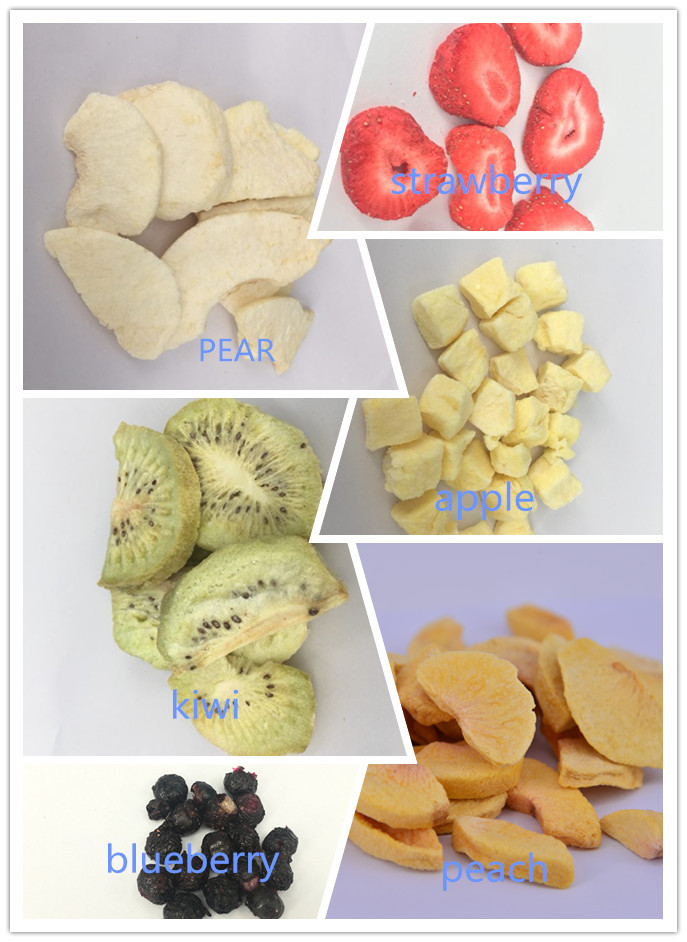 Buy Freeze Dried Vegetables & Fruit Dried High Quality Healthy Food ...
