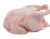 Import Fresh Frozen Chicken Premium Quality / Frozen Chicken wings /Chicken legs from USA