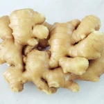Fresh Gingers,Natural Fresh Ginger