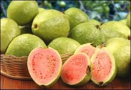 FRESH GUAVA - EXPORTED QUALITY - GOOD PRICE FOR SALE
