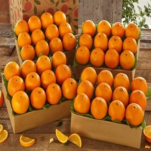 Fresh Oranges and other fresh fruit for sale