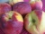 Import Fresh Peaches & nectarines from Egypt