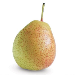 Fresh Pears from South Africa with good price.