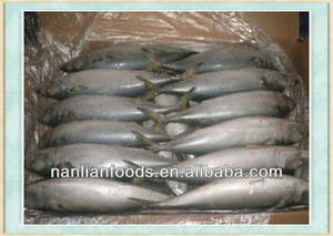 fresh seafood for mackerel 300-500g