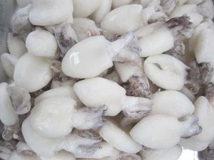 FROZEN WHOLE CLEANED CUTTLEFISH ISO/HACCP