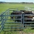 Import galvanized horse rail fence / cattle fencing panels / boer goats for sale from China
