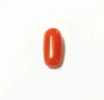 Gemstone Manufacturer all sizes shapes Natural Red Coral Stone