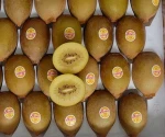 Good Price Quality Fresh Kiwi Fruits