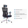 Good Quality Low Zero Gravity Mesh Chair4d Adjustable Controls Lumbar Support Pillow Tilt Mechanism Oem Office Chair