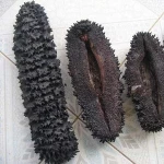 Good seafood dry sea cucumber in individual packed