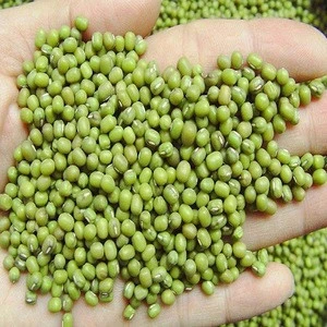 Grade A green mung beans for sale