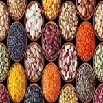 GRADE A SOUTH AFRICA BUTTER BEANS FOR SALE