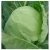 Import grade AAA fresh vegetables organic frozen broccoli from Thailand