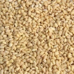 Green almond broad bean chickpea pea peeling peanut peeler machine