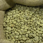 green coffee beans