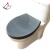 Import Grey OEM Color 18 Inch Plastic Easy Bidet Toilet Cover Toilet Seat from China