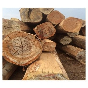 Hardwood Keruing log/sawn timber/lumber