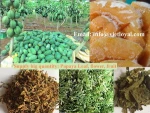 Healthy dried papaya pieces, papaya seeds, leaf, flower