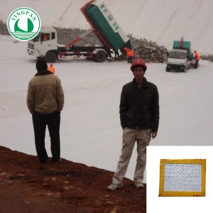 High class China low price landfill gcl geosynthetic clay liner