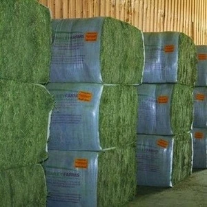 high quality alfalfa hay, alfalfa hay price, alfalfa hay bales