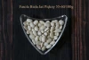 High Quality Common Dried White Beans Importers From Poland