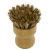 Import High quality eco kitchen pot and pan cleaning wooden pot scrub brush from Taiwan