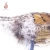 Import High quality feather pheasant artificial realistic lifelike for garden decoration from China