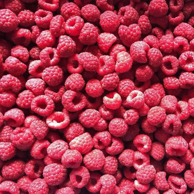 High Quality Frozen Iqf Raspberry  With New Crop